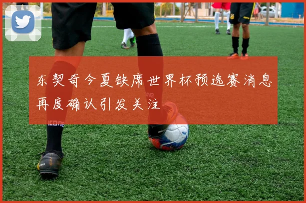 东契奇今夏缺席世界杯预选赛消息再度确认引发关注